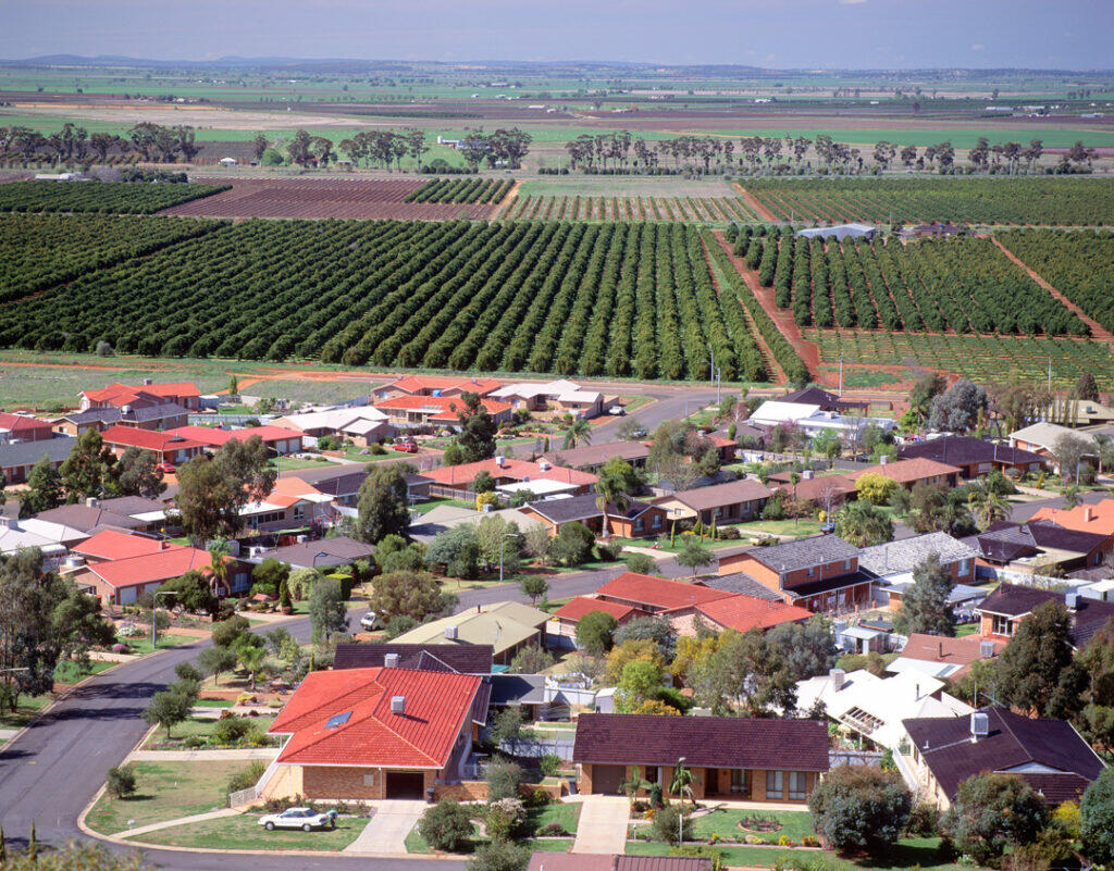 fruit orchards near the new south wales town of griffith