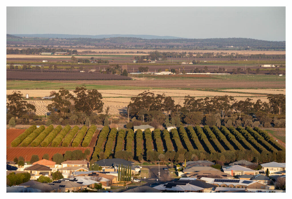 griffith farm