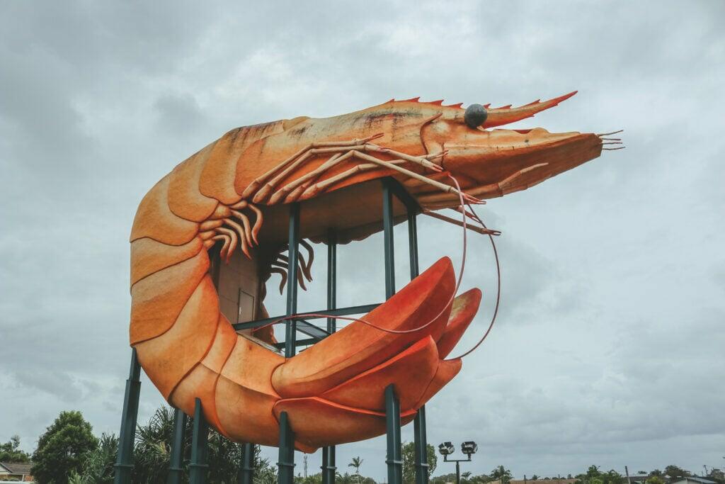 the ballina big prawn against an overcast sky in new south wales